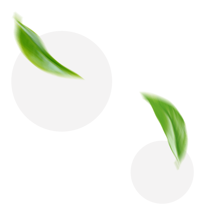 dec